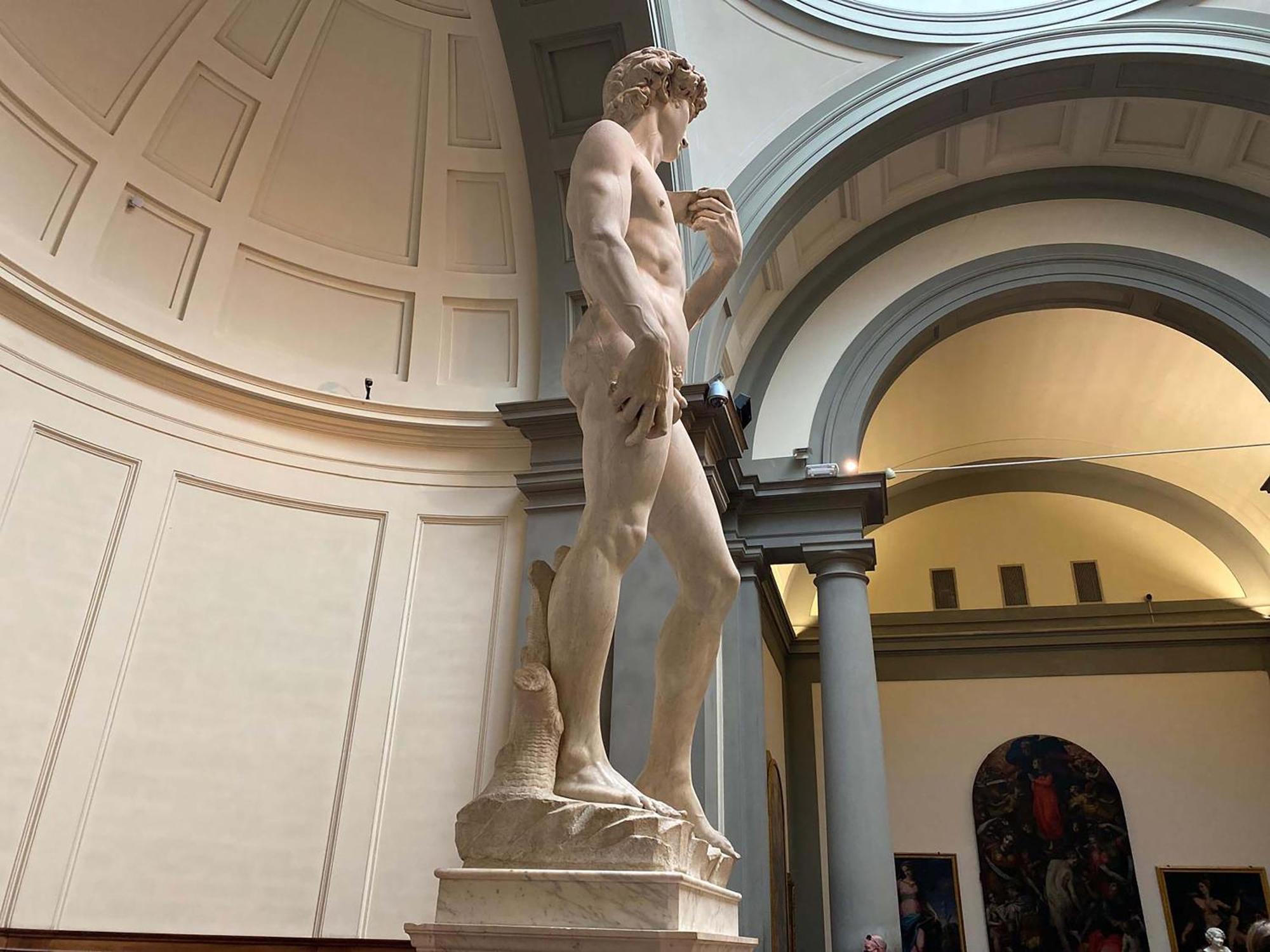 David - Michelangelo Apartamento Florencia